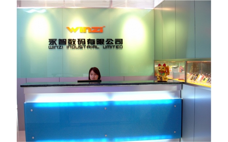 公司组织结构图，深圳市球盟会官网登录入口厂的最初结构