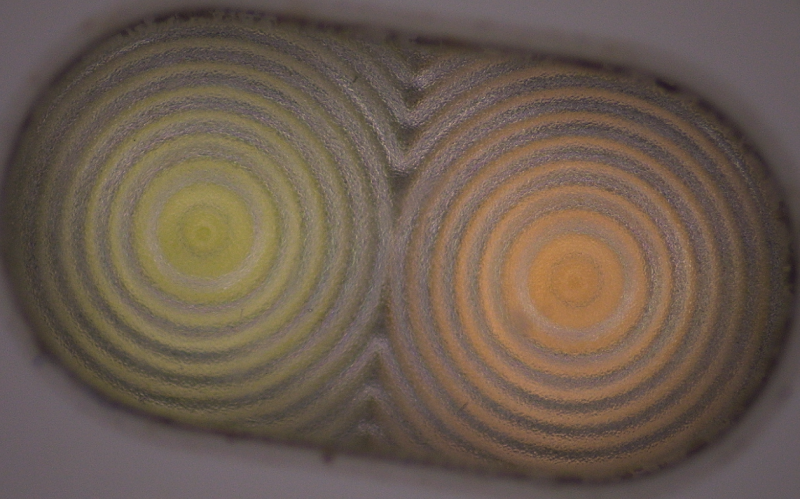 深圳市球盟会官网登录入口厂-深模-二次元下的手机闪光灯罩